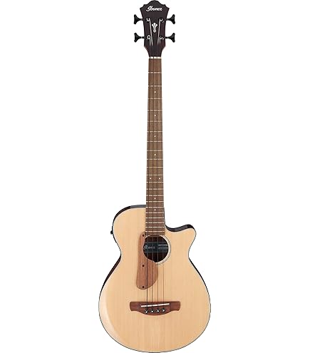 Amazon.com: Ibanez Acoustic-Electric Bass Guitar Dark Violin